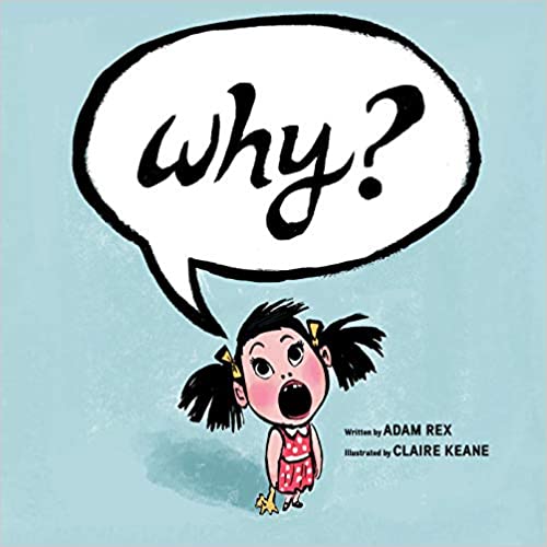 why_1acf3a9e29.jpg