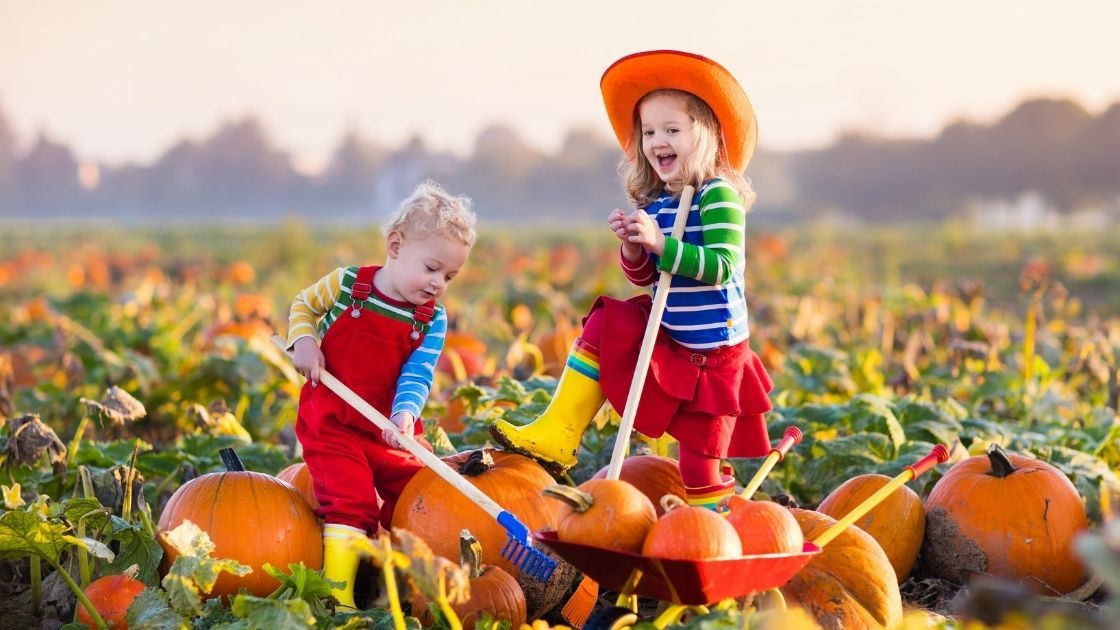 Day Trips for Pumpkin Picking in New Jersey Discover the Best Pumpkin Farms in North New Jersey