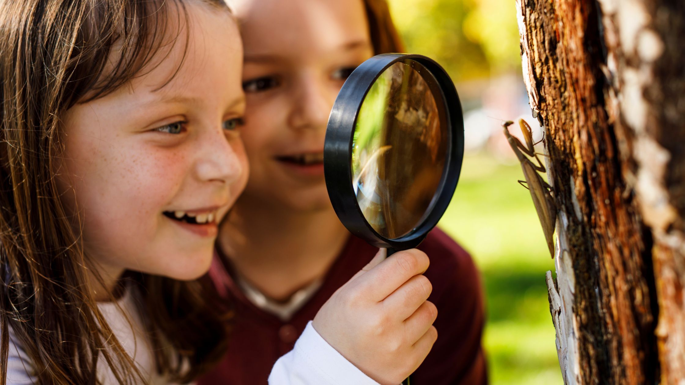 Nature Crafts: Creative Projects That Inspire Kids to Explore the Outdoors 