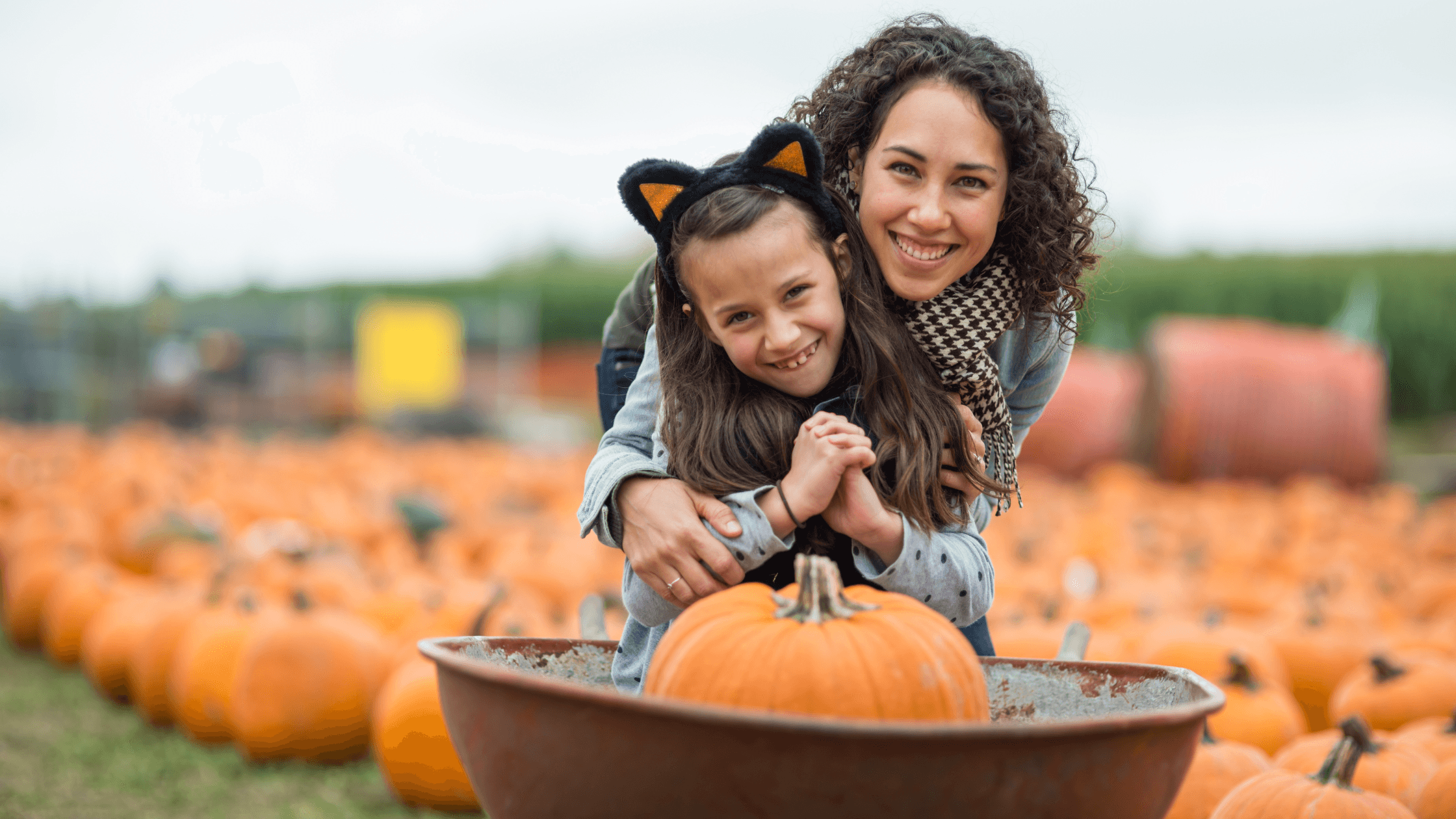 Top Apple and Pumpkin Farms Near NYC for a Perfect Family Fall Day