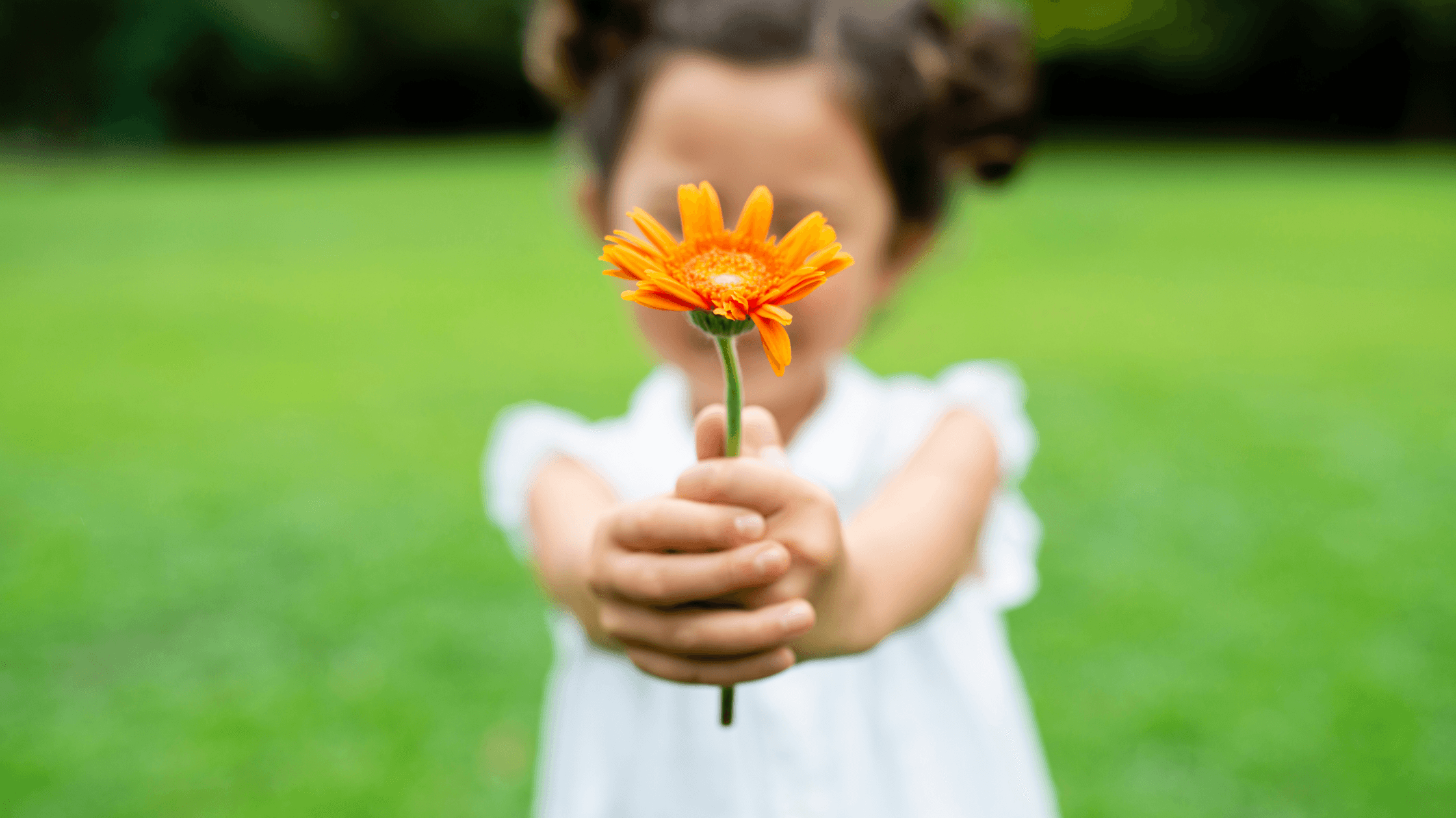 A kid holding yellow flower