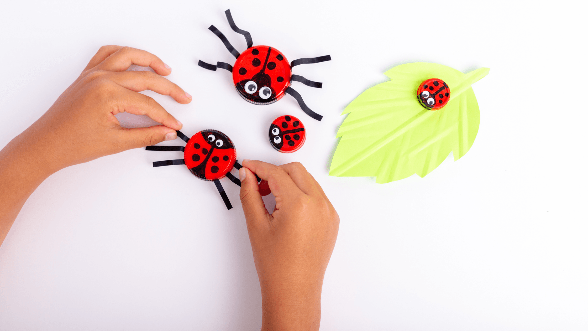 Paper insects and leaves Craftwork Done by kid