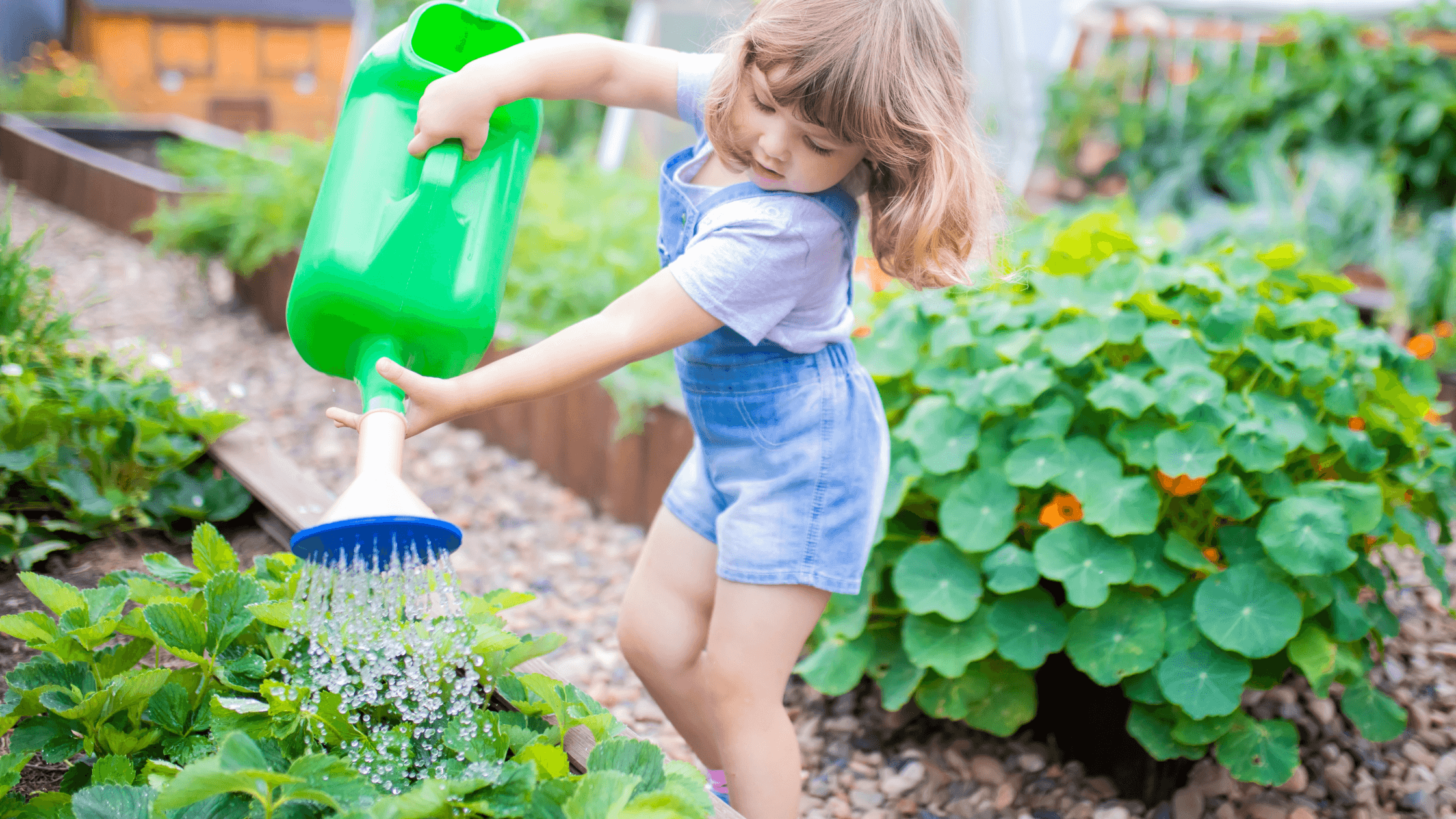 Little girl Watering Flowers